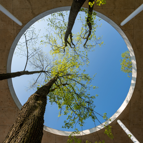 Certified Supply Chain Professional Modules B8