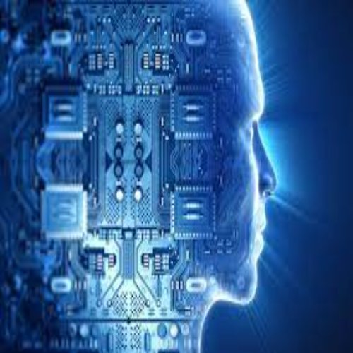 CompressJPEG.online_500x500-image (13)